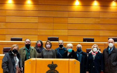 VISITA GUIADA AL SENADO