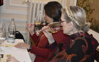 CONFERENCIA CON CATA DE VINOS DE “BODEGAS ZINIO”